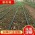 养殖网箱草鱼网箱泥鳅网箱水蛭蚂蟥养殖网箱