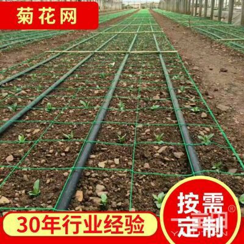 养殖网箱草鱼网箱泥鳅网箱水蛭蚂蟥养殖网箱