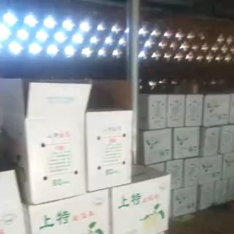绿宝石2023年鲜果大量上市！货源充足，有需要收购的联系