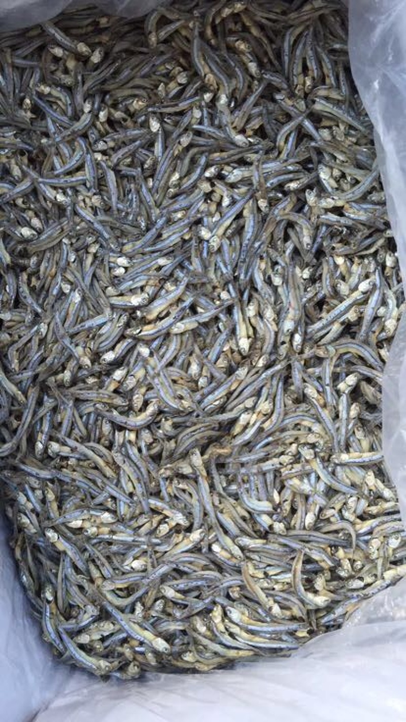 鱼干丁香鱼小银鱼饶鱼干巴浪鱼干