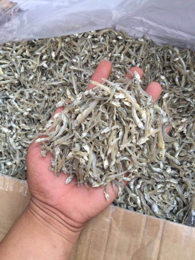 鱼干丁香鱼小银鱼饶鱼干巴浪鱼干