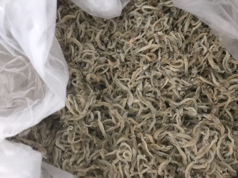 鱼干丁香鱼小银鱼饶鱼干巴浪鱼干