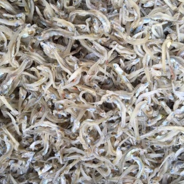 鱼干丁香鱼小银鱼饶鱼干巴浪鱼干