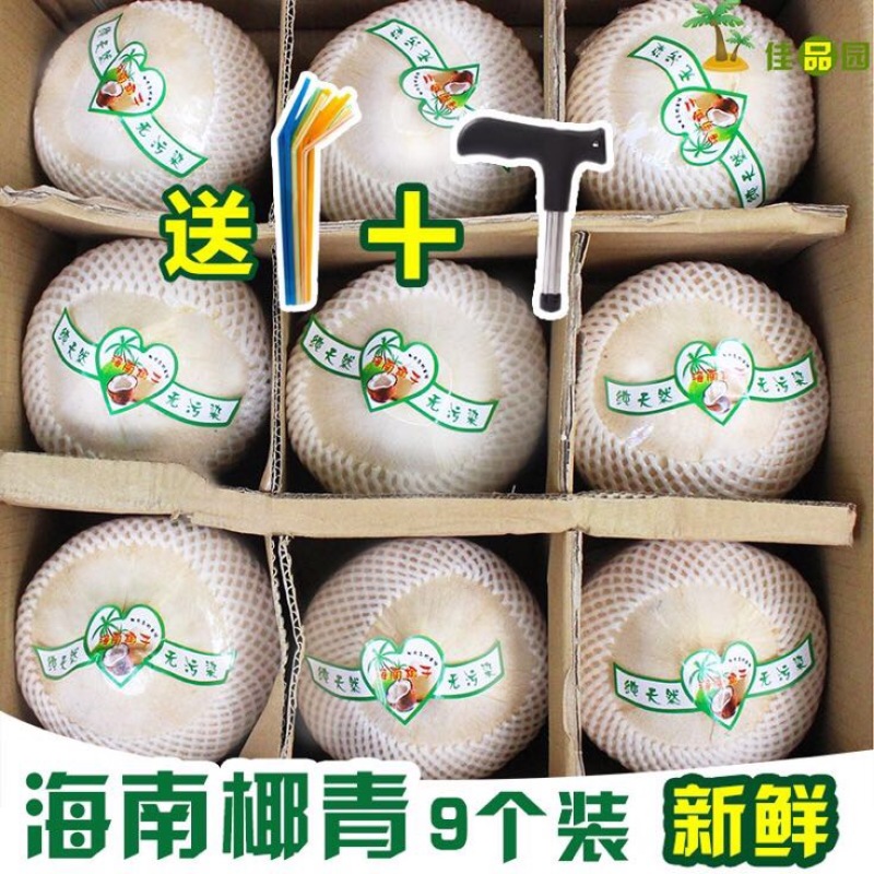 椰青海南特级椰青，一箱也包邮！