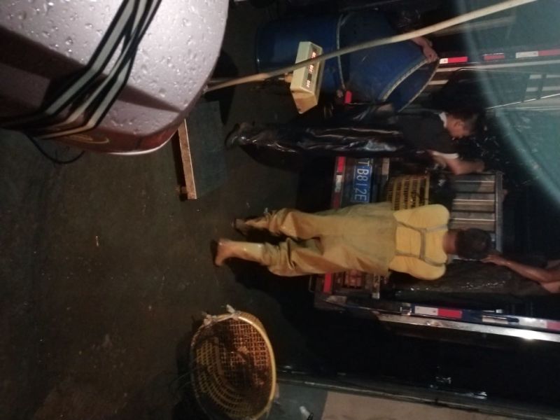 罗非鱼，价格合适