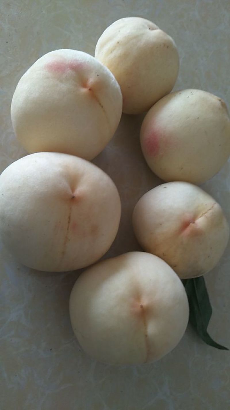 水蜜桃