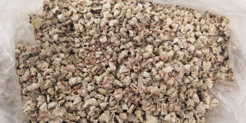 玉米芯颗粒食用菌用玉米芯