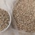 玉米芯颗粒食用菌用玉米芯