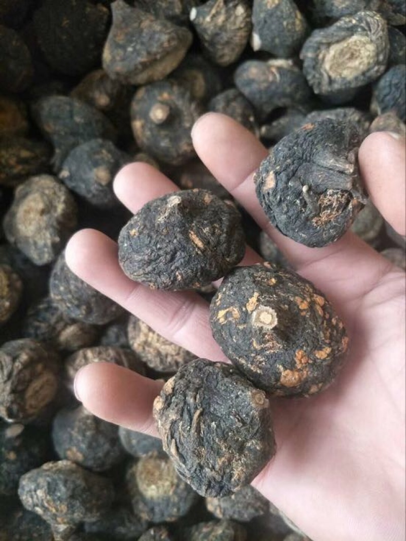 黑玛卡黑色