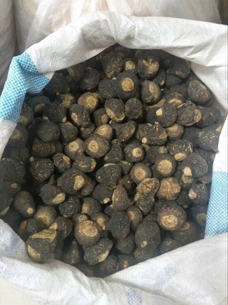 黑玛卡黑色