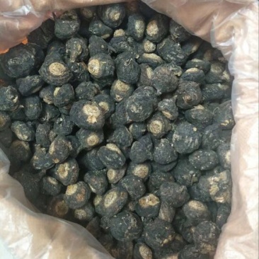 黑玛卡黑色
