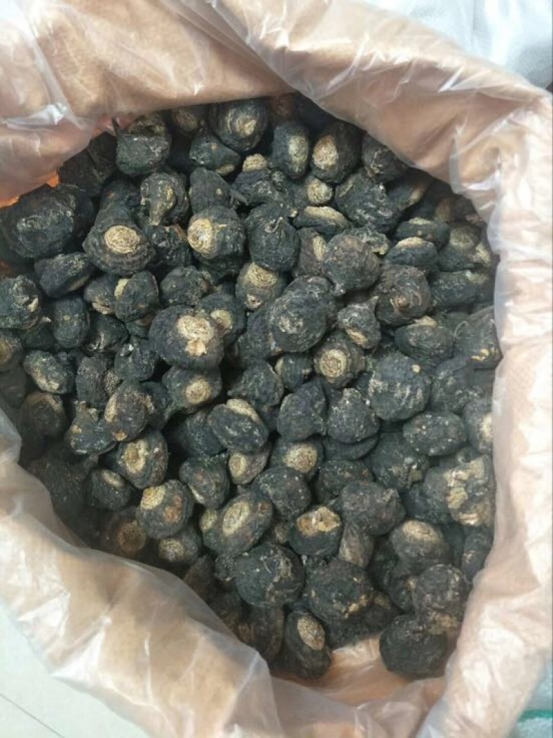黑玛卡黑色