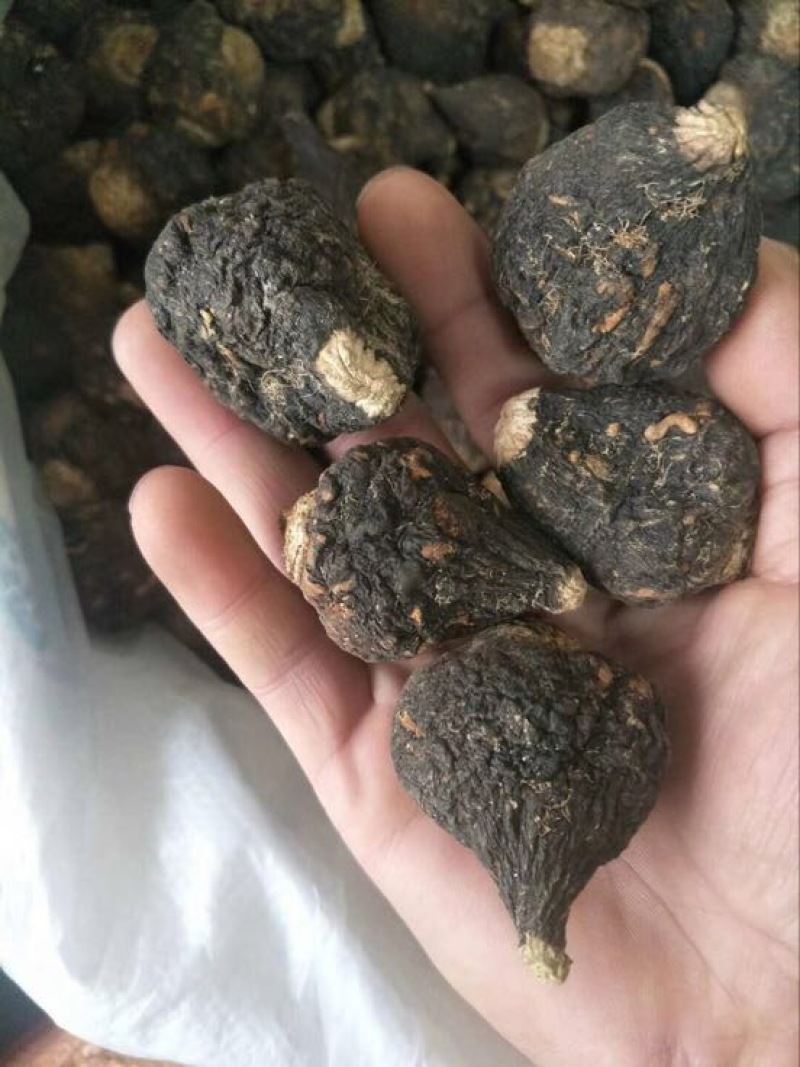 黑玛卡黑色
