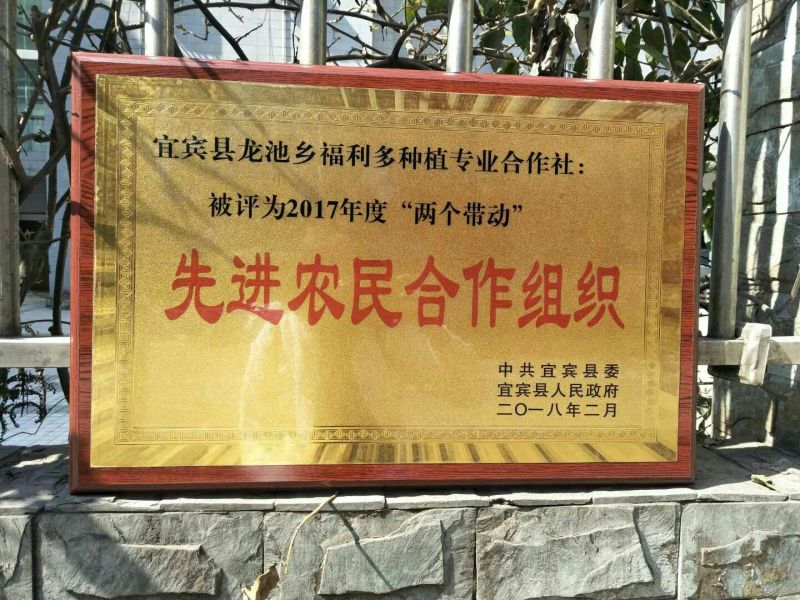 龙池干豇豆500克/袋