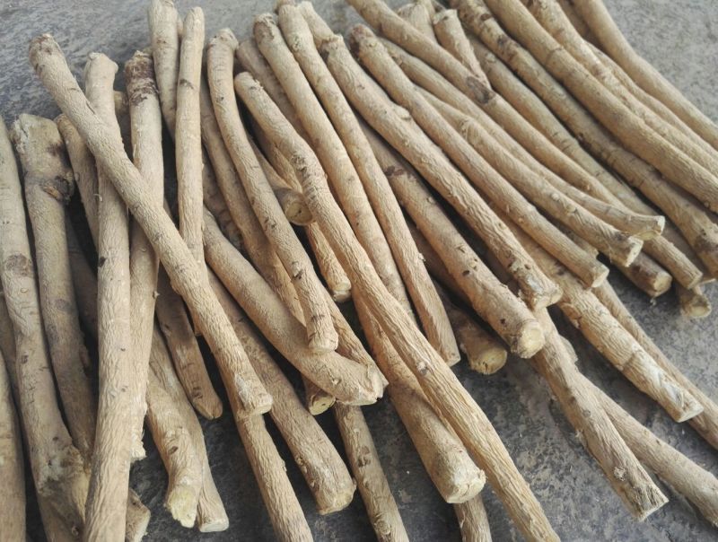 甘肃黄芪大条黄芪棒产地批发自然晒特级黄芪