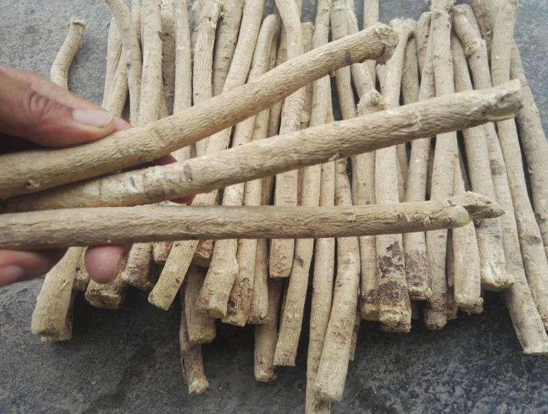 甘肃黄芪大条黄芪棒产地批发自然晒特级黄芪