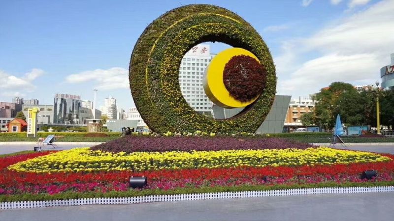 草花，宿根，地被，水生等绿化苗木