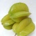 海南香蜜大杨桃