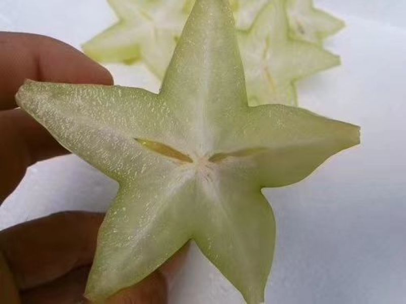 海南香蜜大杨桃