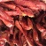 猪肉熟肉