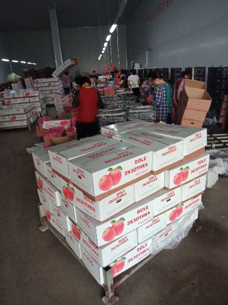 苹果出口代加工，代收，代包装提供场地检疫证，产地批发代发