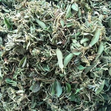 金银花，零售，物流发货，大货装车，贵州山银花。