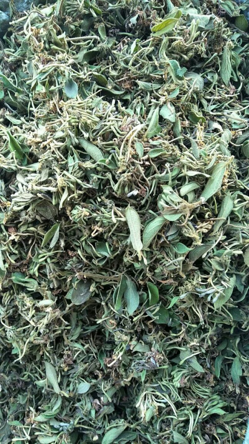 金银花，零售，物流发货，大货装车，贵州山银花。