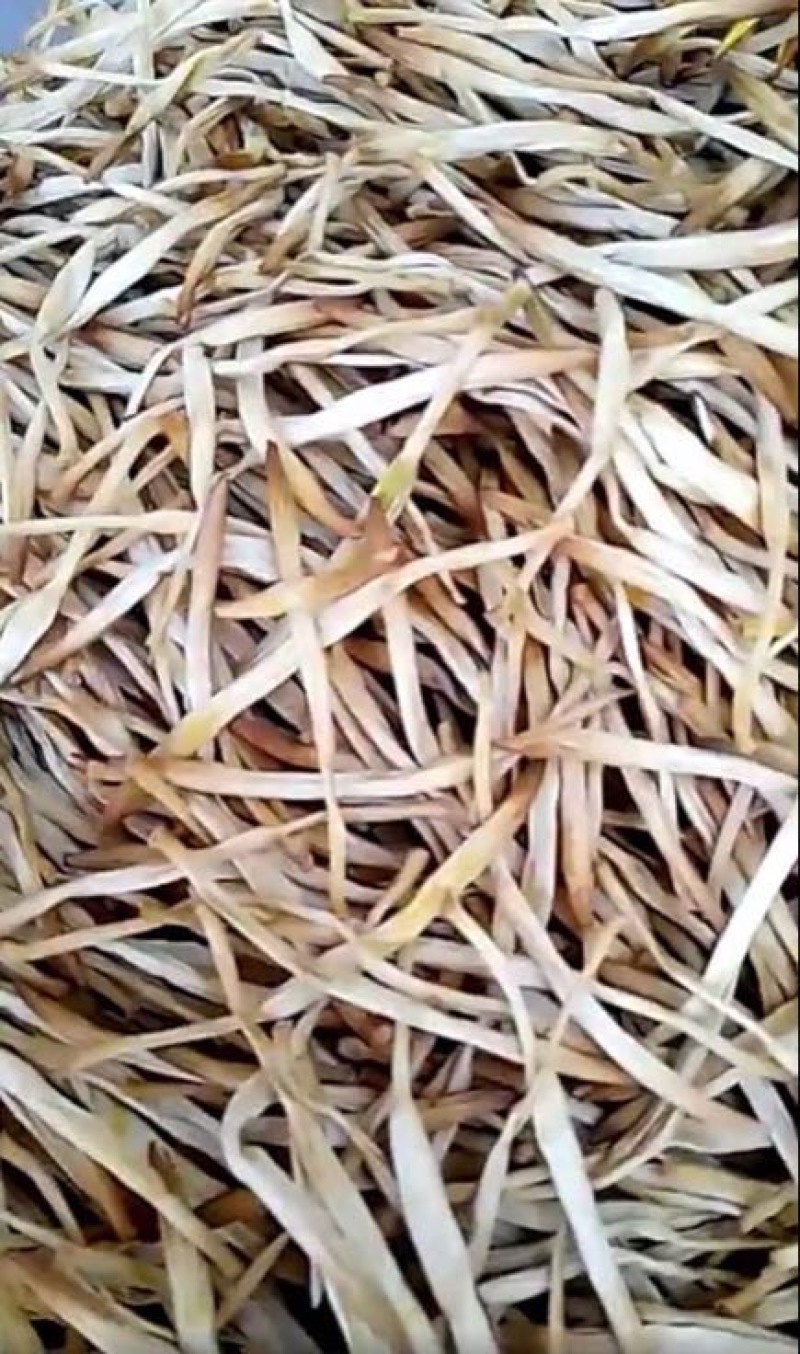 黄花菜袋装一级