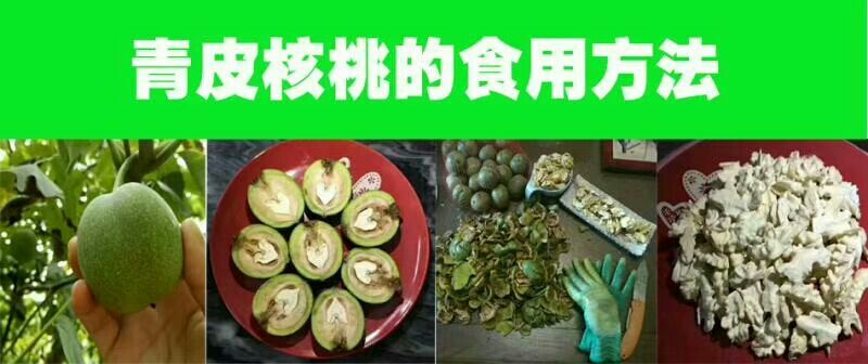 青皮核桃