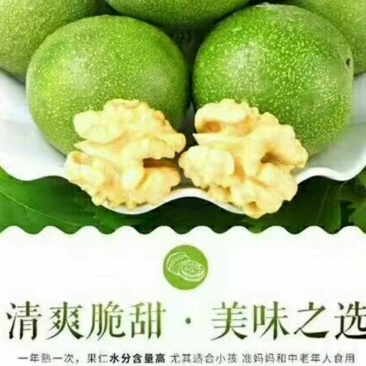 青皮核桃