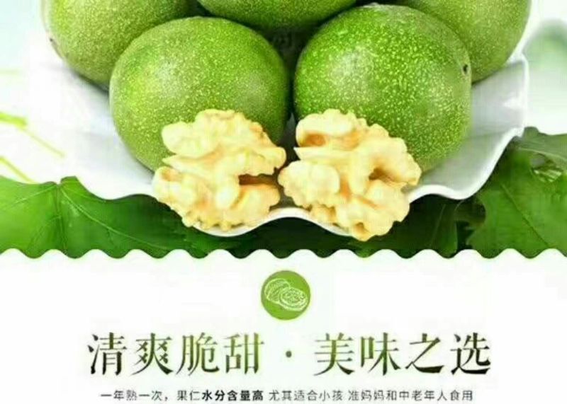 青皮核桃