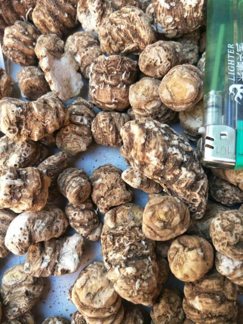 重楼，东北，你懂的