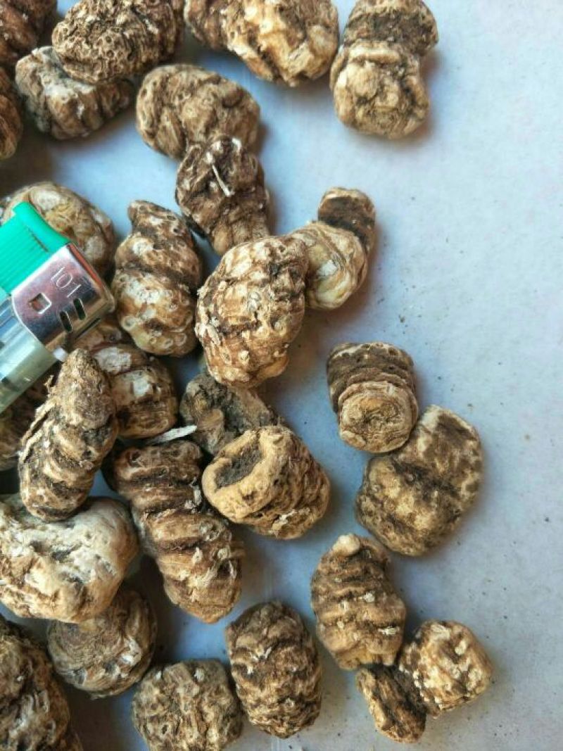 重楼，东北，你懂的