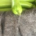 瓠瓜30~40cm5~6cm