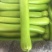 瓠瓜30~40cm5~6cm