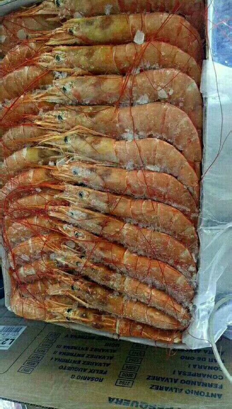 L2红虾