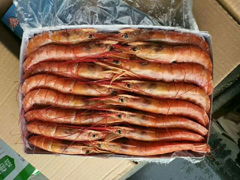 L2红虾