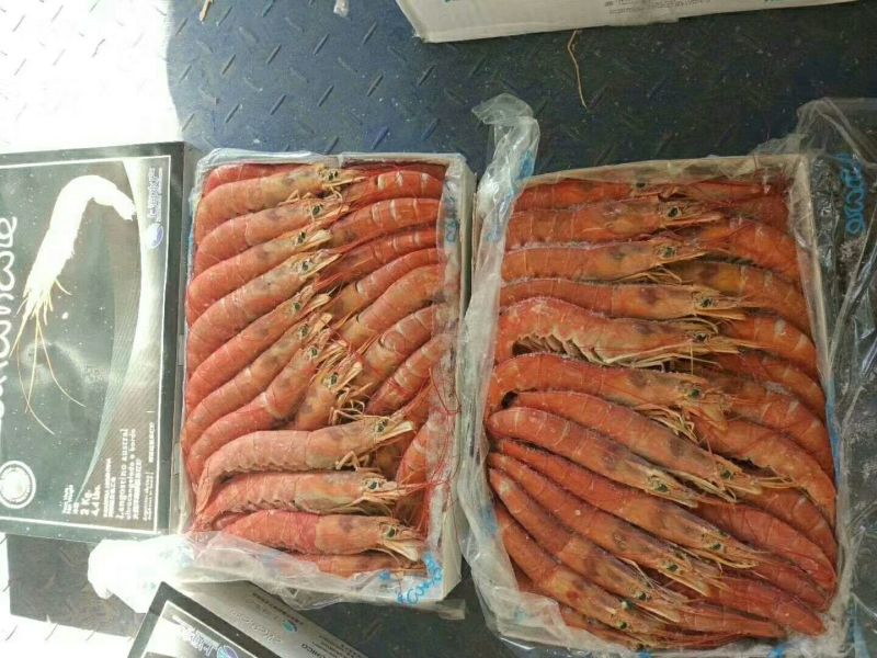 L2红虾
