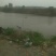 鲤鱼鲤鱼