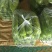 各种蔬菜