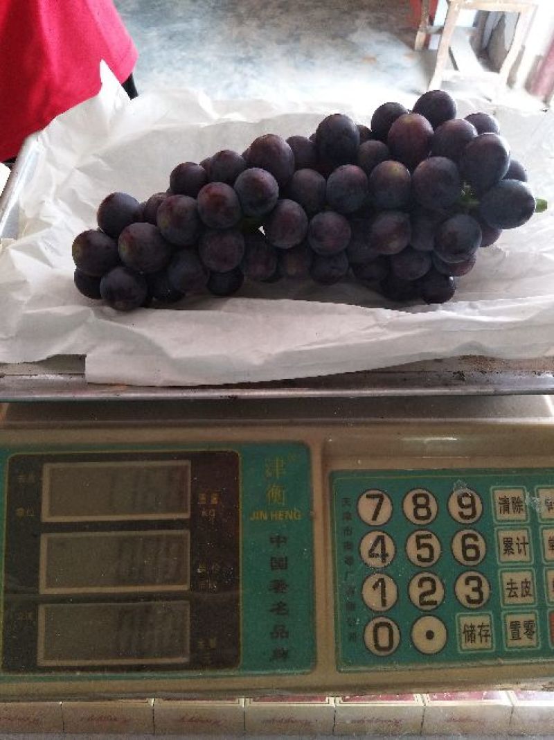 早夏无核葡萄