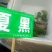 出售阳光玫瑰葡萄营养袋绿苗