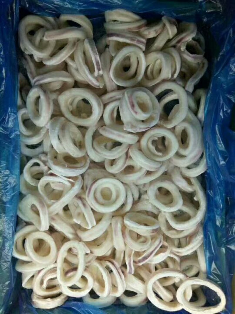 鱿鱼