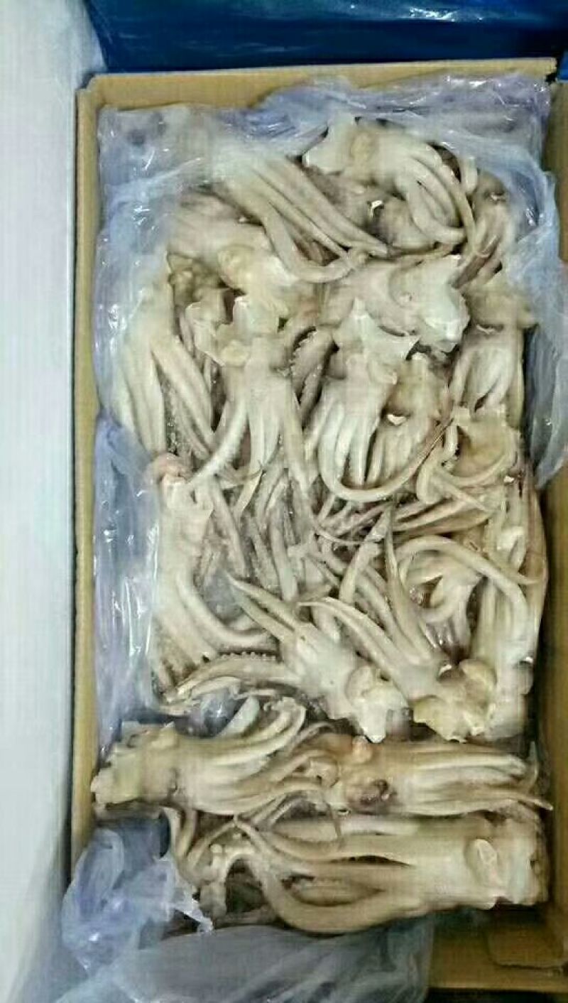 鱿鱼