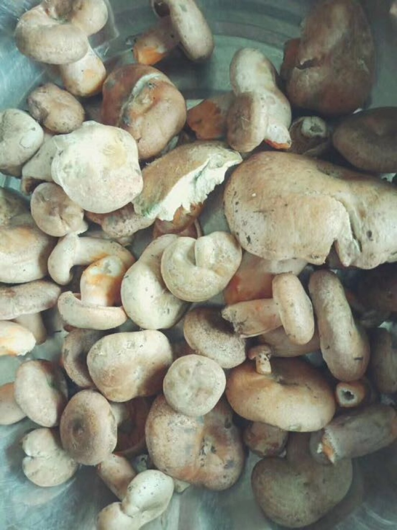 野生菌特级