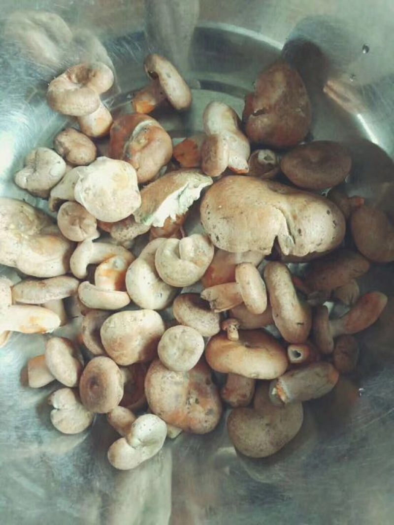 野生菌特级