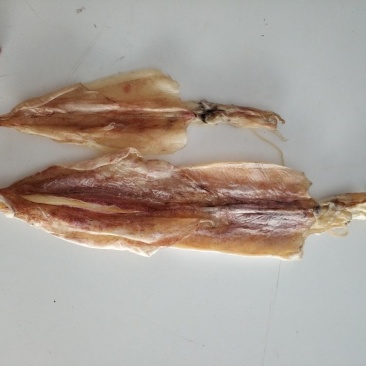 天然船晒尤鱼干