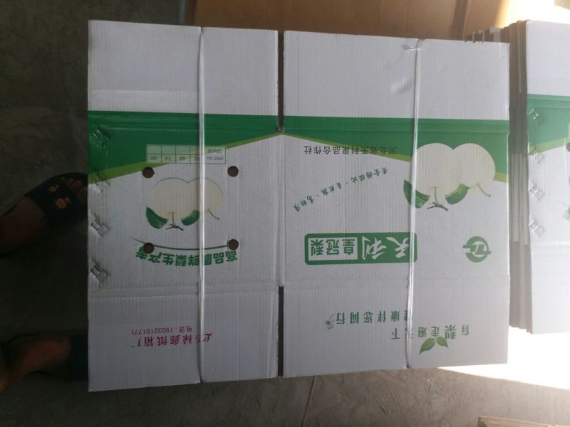 水果箱