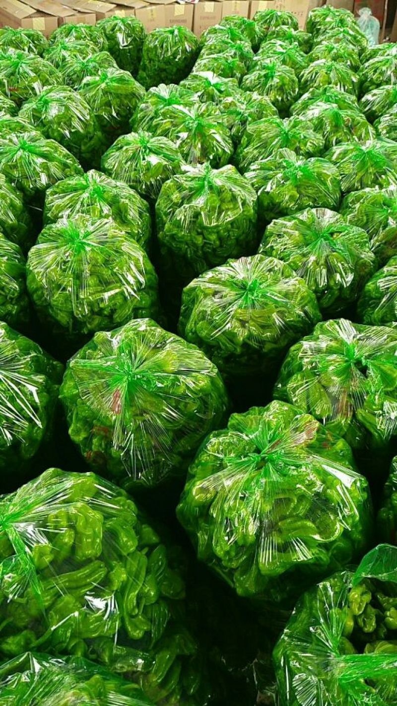 芜湖椒(薄皮椒)品相好黄薄皮量大走货快