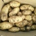 土豆荷兰十五基地，常年大量现货供应